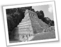 Newsletter 12