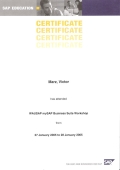 SAP Introductory Workshop Certificate